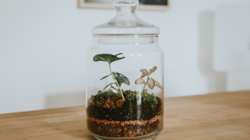 Water Propagation: A Step-by-Step Guide to Growing Plants in Jars