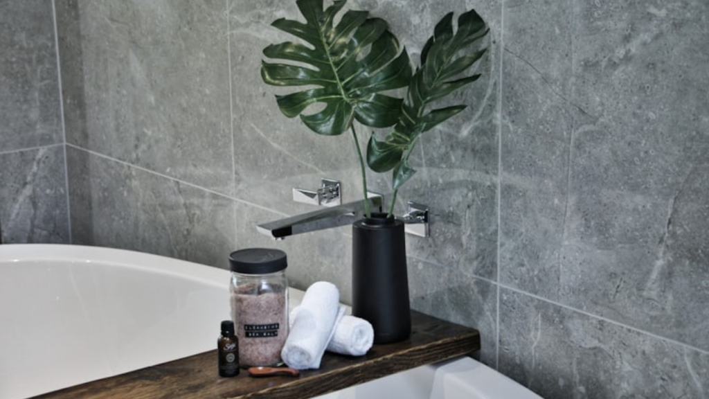 Best Humidity-Loving Plants for Your Bathroom Sanctuary