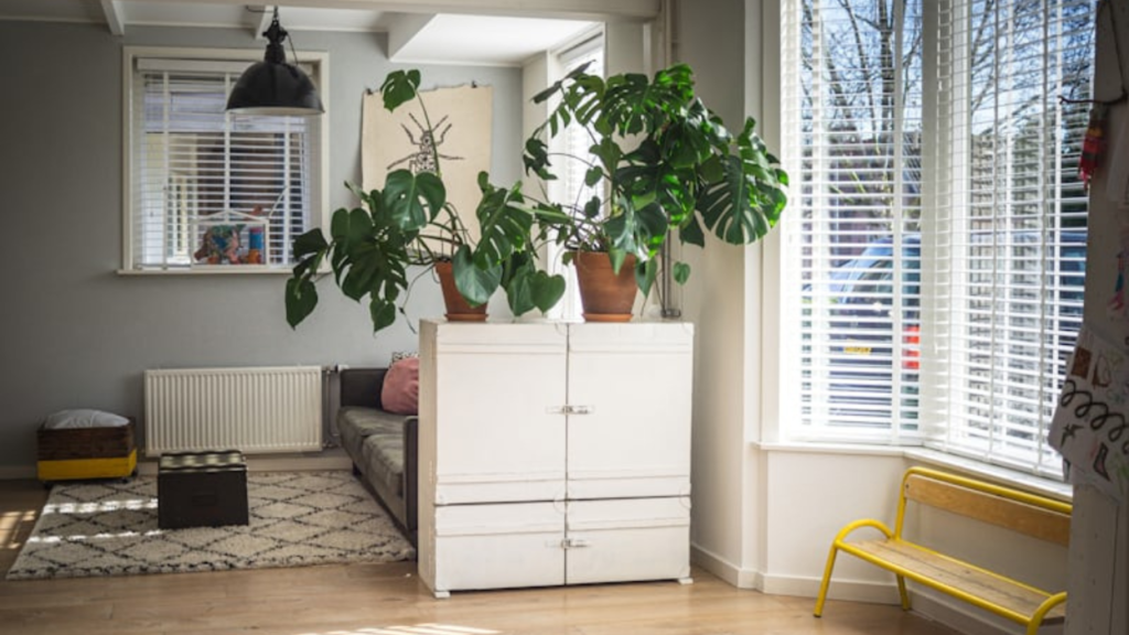 Creative Indoor Plant Decor Ideas to Elevate Your Living Space